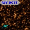NSV 10753