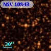 NSV 10843