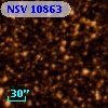 NSV 10863