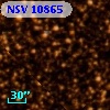 NSV 10865