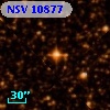NSV 10877
