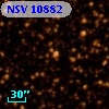 NSV 10882