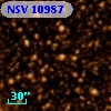 NSV 10987