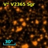 V* V2365 Sgr