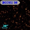 [BCC85]  30
