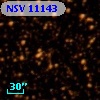 NSV 11143