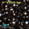 V* V1020 Sgr
