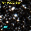 V* V377 Sgr