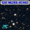GSC 06289-02442