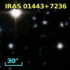 IRAS 01443+7236