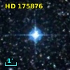 HD 175876