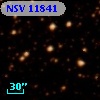NSV 11841