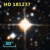 HD 181237
