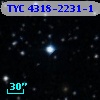 TYC 4318-2231-1