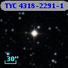 TYC 4318-2291-1