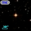 TYC 6319-1446-1