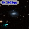 SN 2003gg