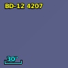 BD-12  4207
