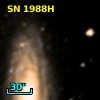SN 1988H