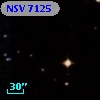 NSV  7125