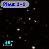 Plaut 1-1