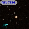 NSV  7334