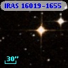 IRAS 16019-1655