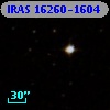 IRAS 16260-1604