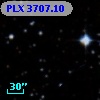 PLX 3707.10