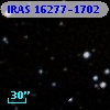 IRAS 16277-1702