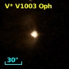 V* V1003 Oph