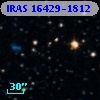 IRAS 16429-1812