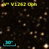 V* V1262 Oph