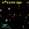 V* V1244 Oph