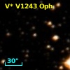V* V1243 Oph
