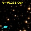 V* V1231 Oph