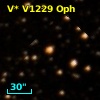 V* V1229 Oph