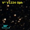 V* V1224 Oph