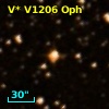 V* V1206 Oph