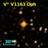 V* V1163 Oph