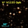 V* V1155 Oph