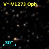 V* V1273 Oph
