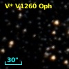 V* V1260 Oph