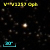 V* V1257 Oph
