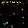 V* V1256 Oph
