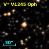 V* V1245 Oph