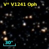 V* V1241 Oph