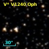 V* V1240 Oph
