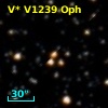 V* V1239 Oph