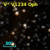 V* V1234 Oph